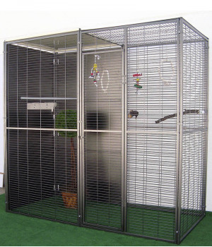 IMOR® 2 sqm parrot garden...