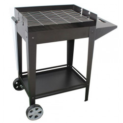 Barbecue à charbon de bois...