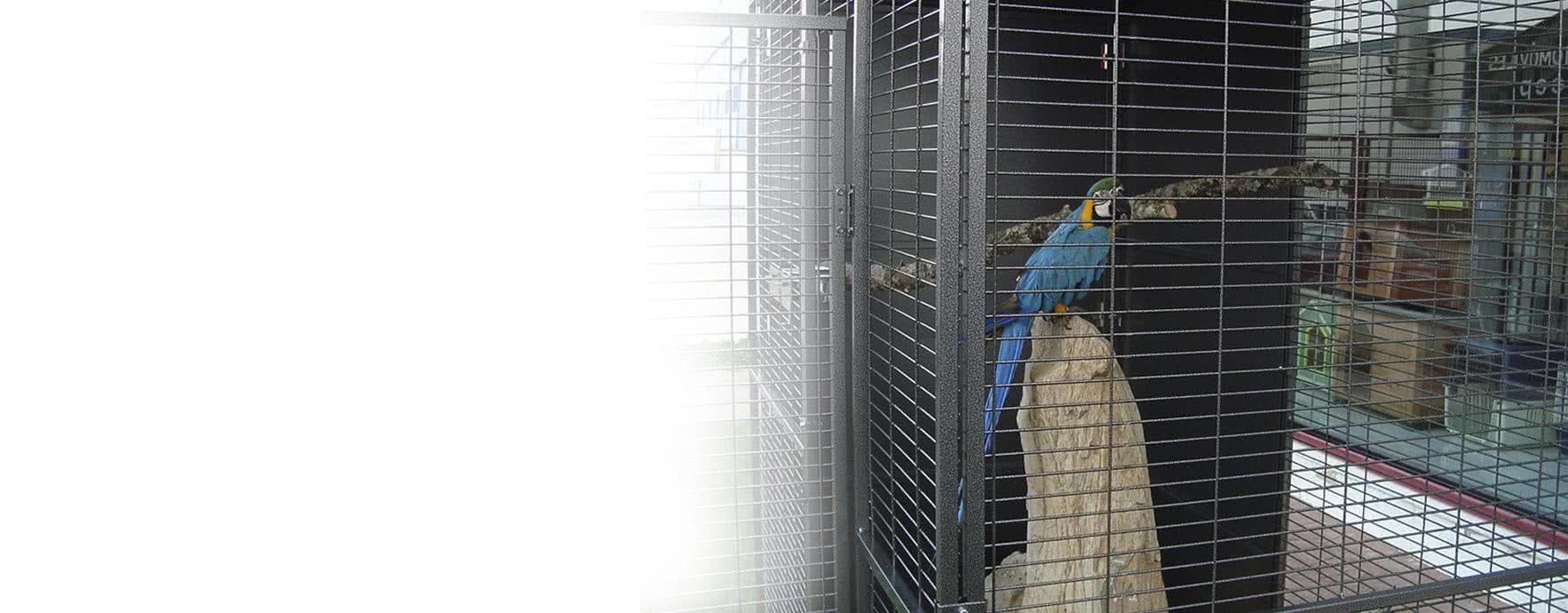 Découvrez nos cages et accessoires pour tous types d'oiseaux