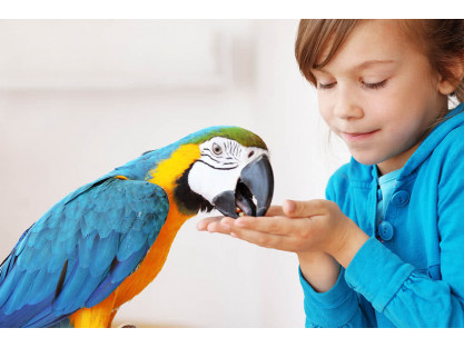 HOW WELL DO YOU KNOW THE WORLD OF PARROTS AND MACAWS?